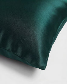 Nº 34 Vert Sapin